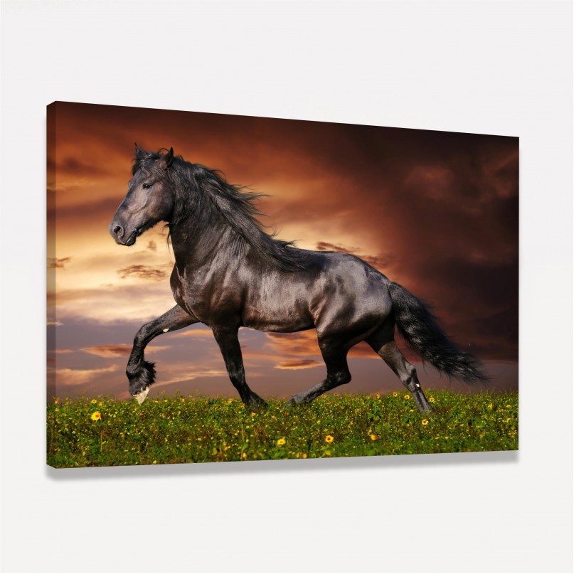 Quadro Cavalo Majestade Equina 