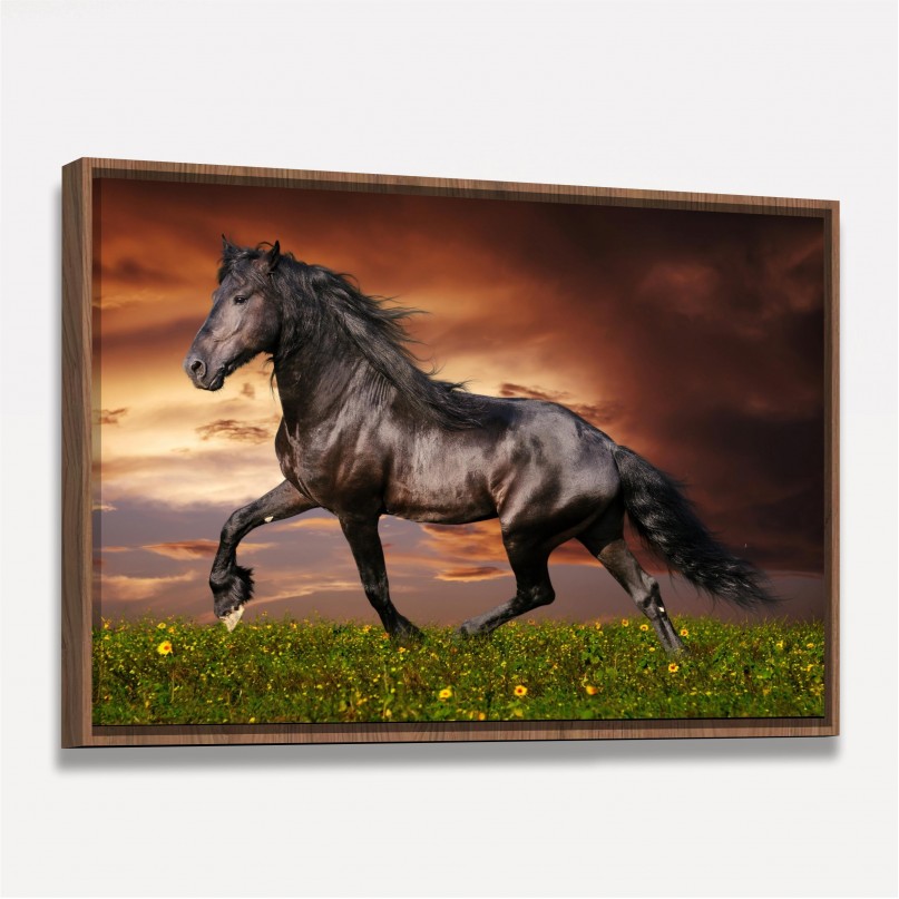 Quadro Cavalo Majestade Equina 