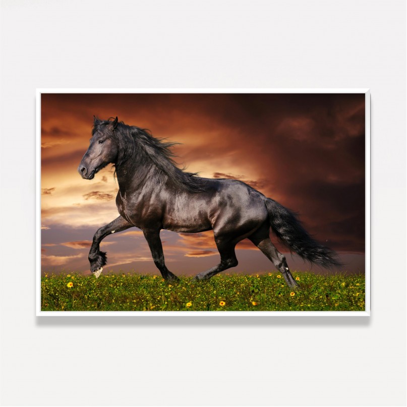 Quadro Cavalo Majestade Equina 