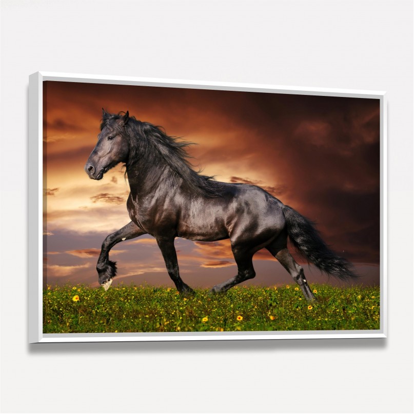 Quadro Cavalo Majestade Equina 