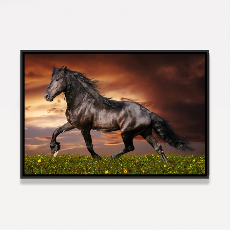 Quadro Cavalo Majestade Equina 