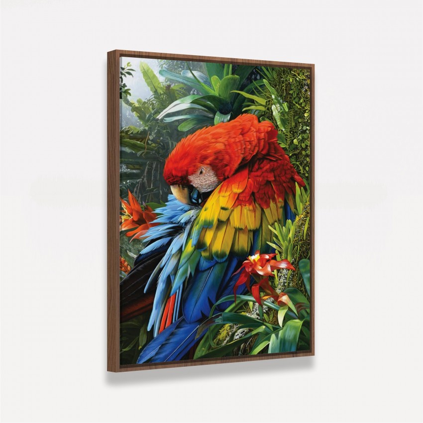 Quadro Arara Colorida na Floresta