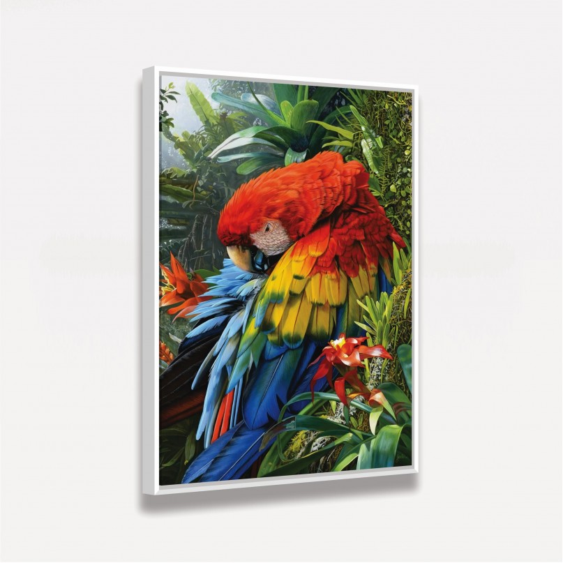 Quadro Arara Colorida na Floresta
