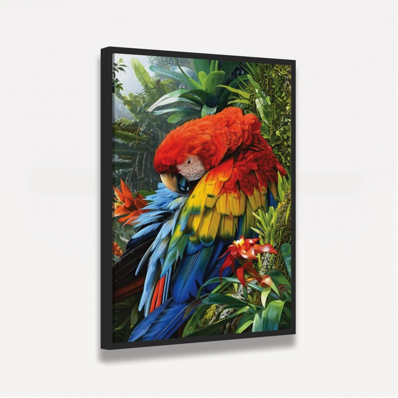 Quadro Arara Colorida na Floresta