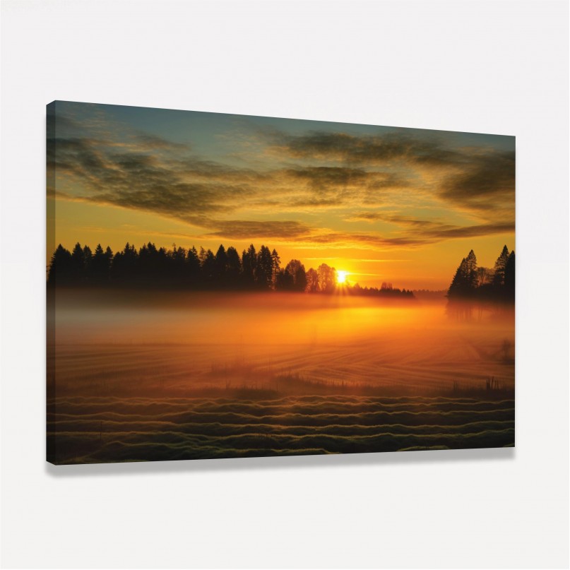 Quadro Paisagem Campo Neblinado ao Amanhecer