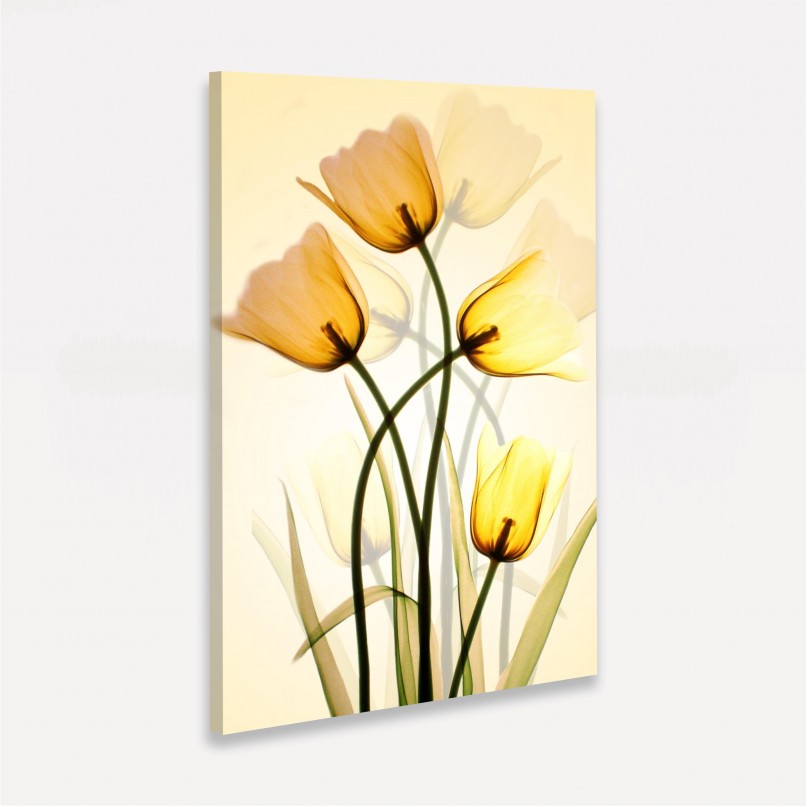 Quadro Flores Três Tulipas Amarelas Artístico 