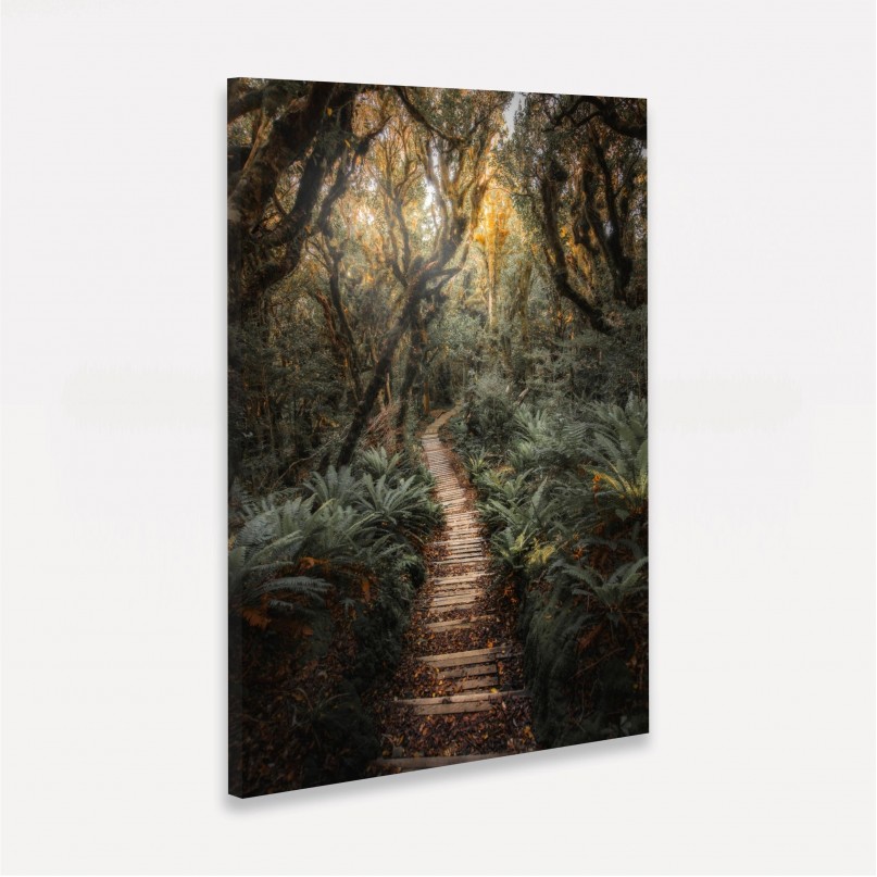 Quadro Paisagem Trilha de Madeira entre a Floresta