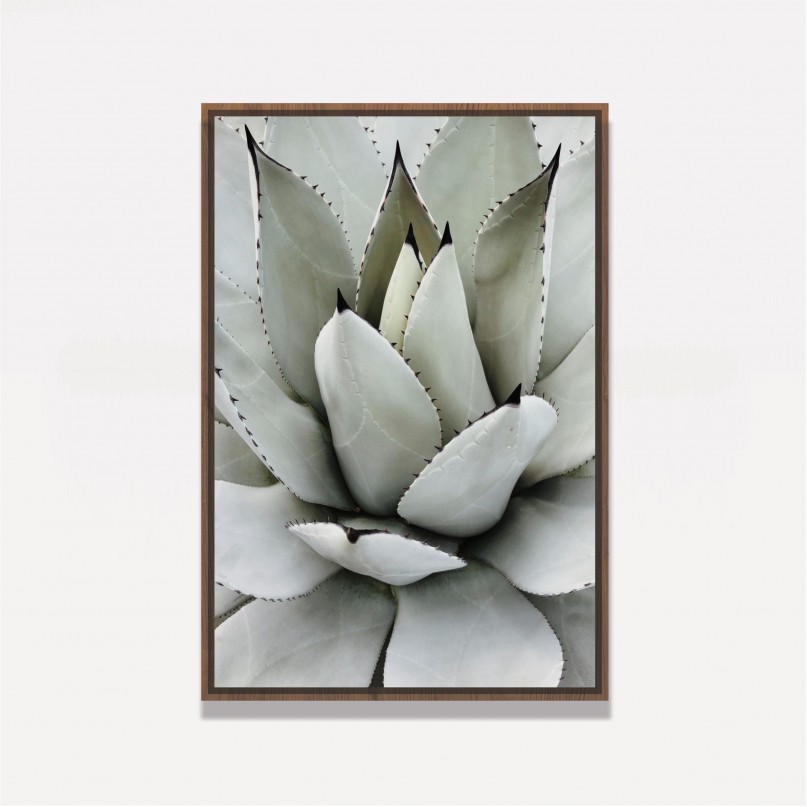 Quadro Decorativo Babosa Tropical 