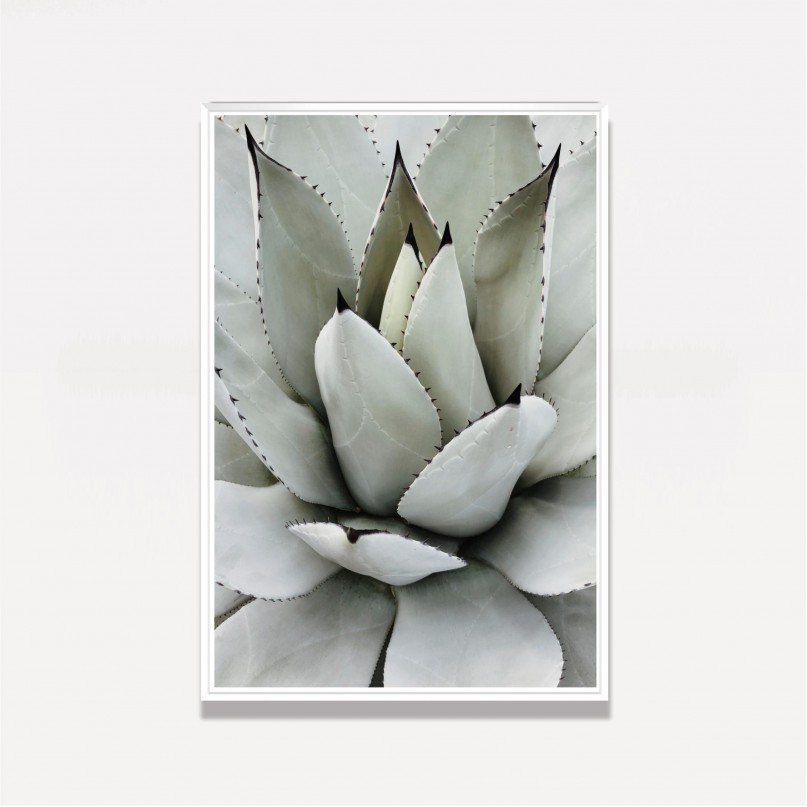 Quadro Decorativo Babosa Tropical 