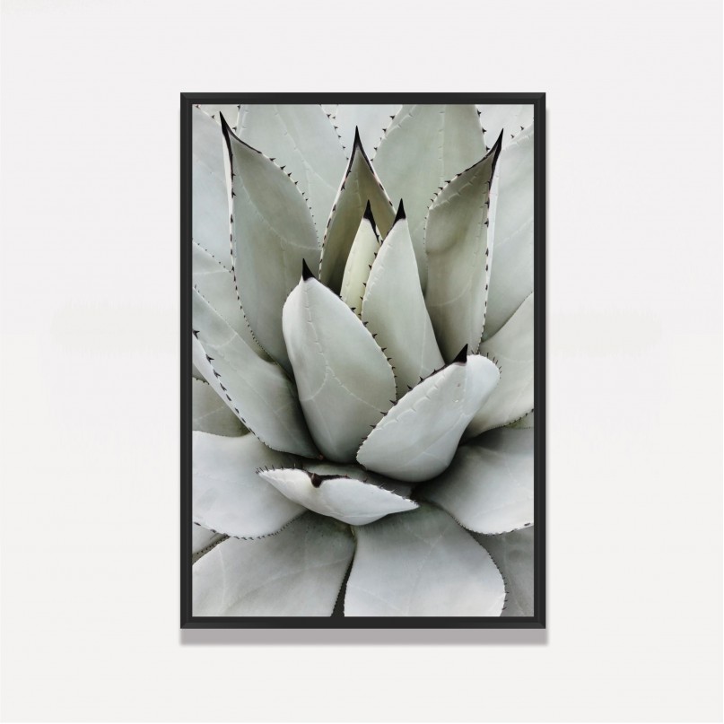 Quadro Decorativo Babosa Tropical 