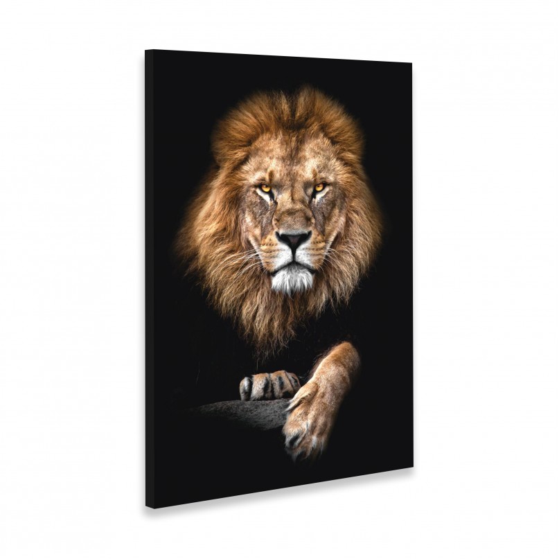 Quadro Leão de Judá