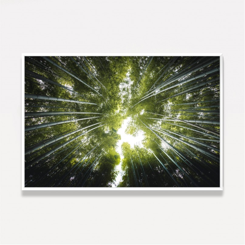 Quadro Floresta de Bambus Folhas Verde