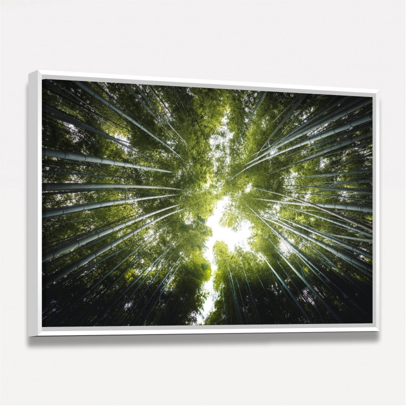 Quadro Floresta de Bambus Folhas Verde