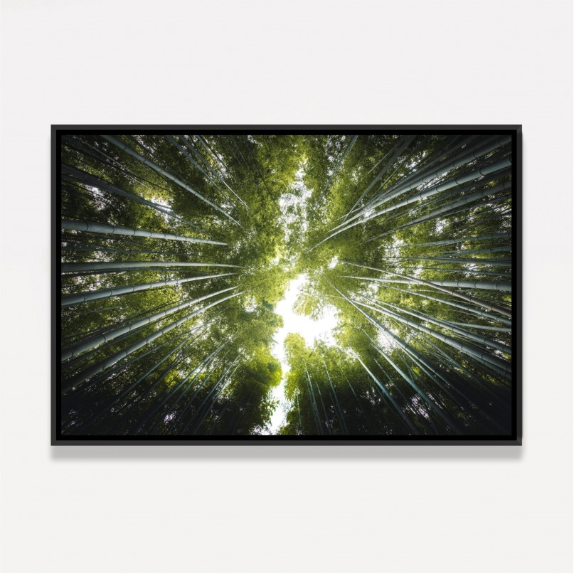 Quadro Floresta de Bambus Folhas Verde