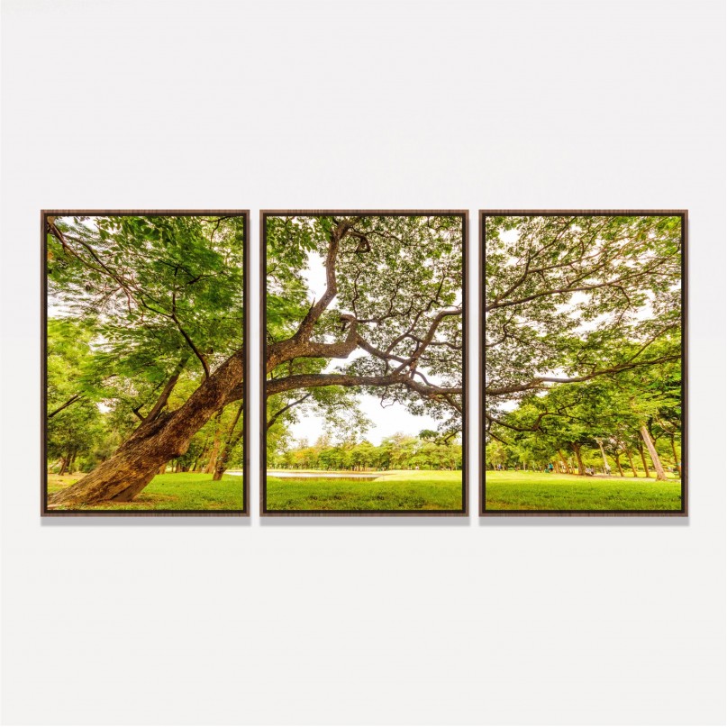 Quadro Árvore com Grandes Galhos Emoldura o Parque