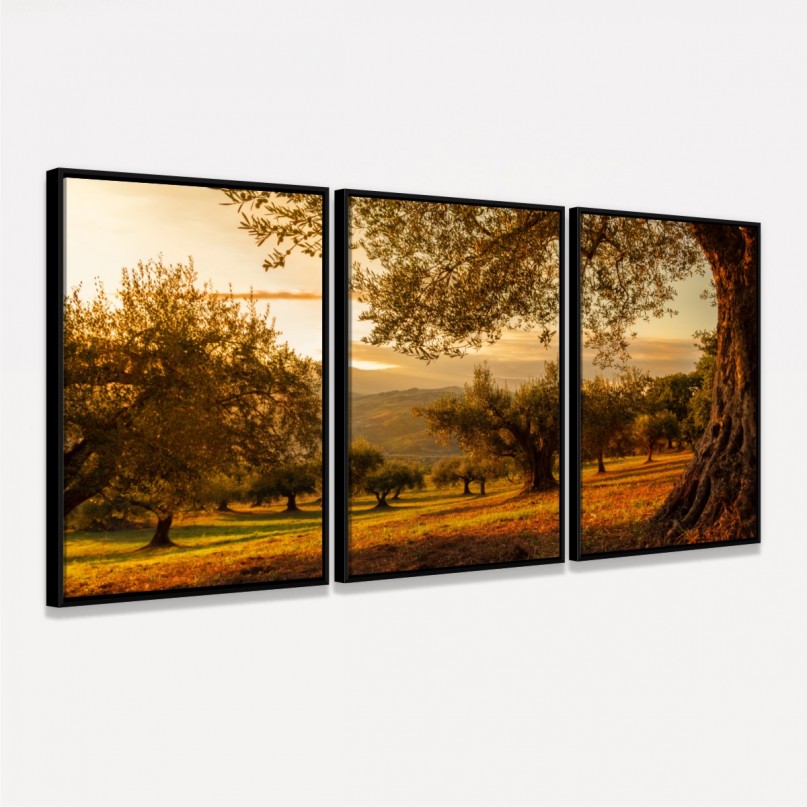 Quadro Decorativo Paisagem Oliveiras no Campo ao Entardecer
