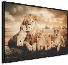 Quadro Leao Familia