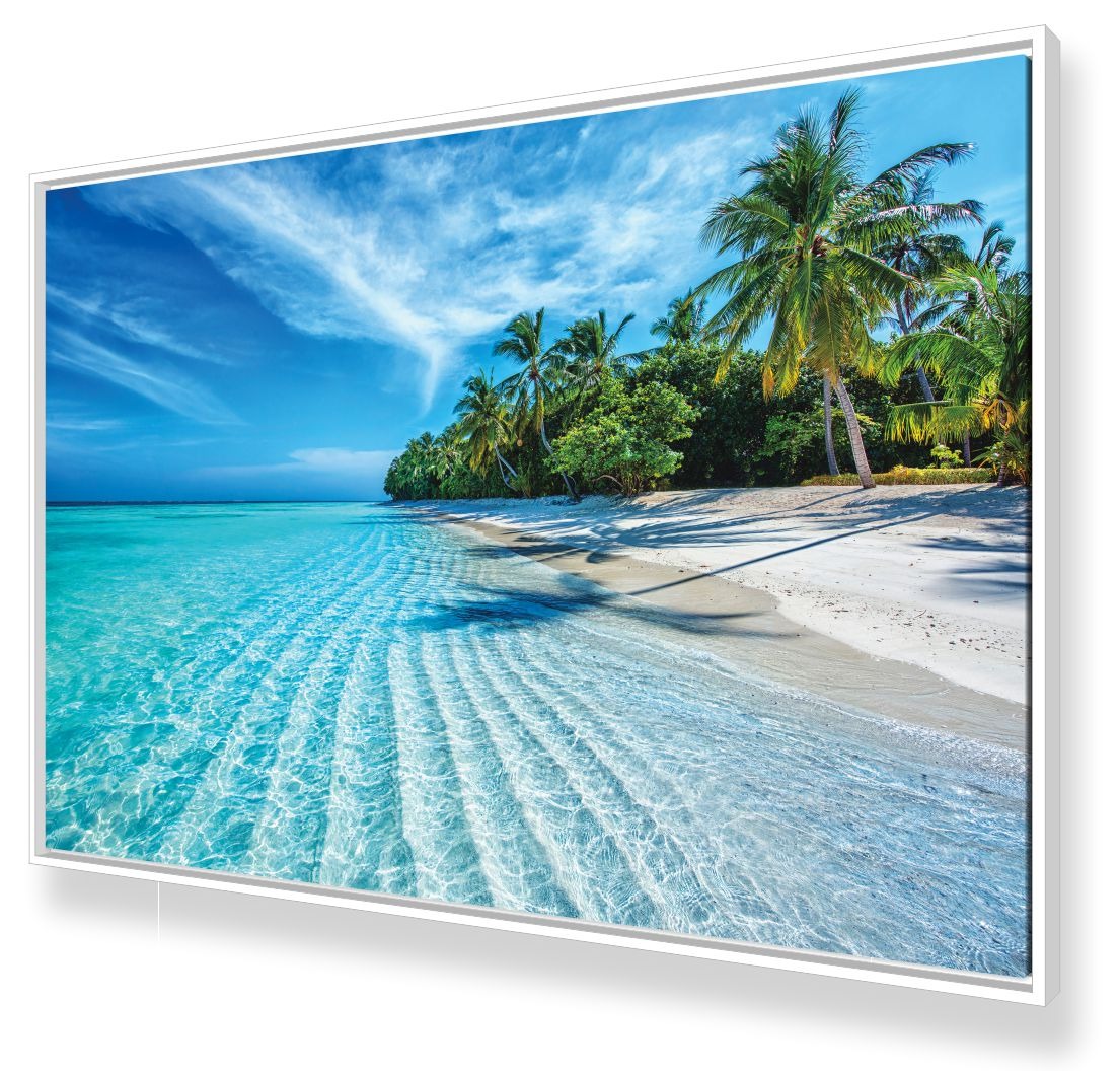 Quadro Dois Leões